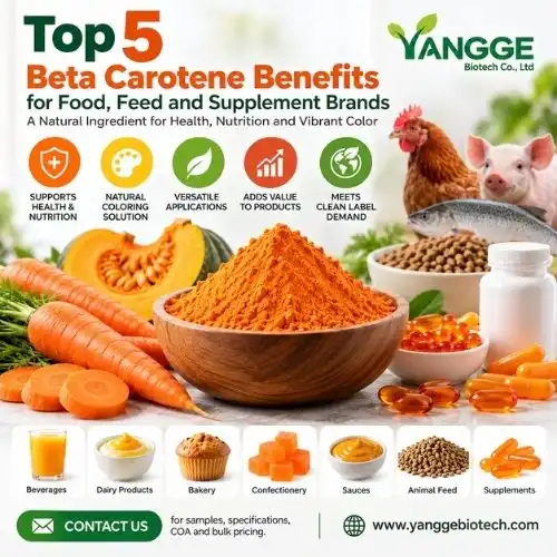 Top 5 Beta Carotene Benefits for Food, Feed and Supplement Brands